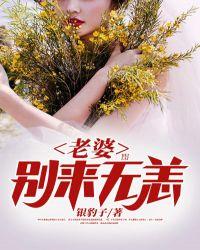 老婆别来无恙江晨周璟年免费阅读